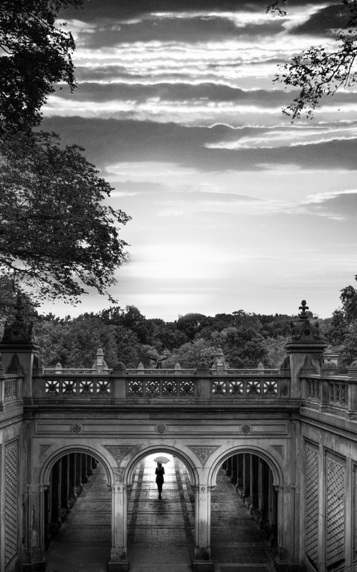 CENTRAL PARK SERENITY by Harv Greenberg