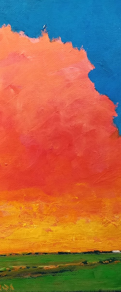 Morning Sun by David J Edwards