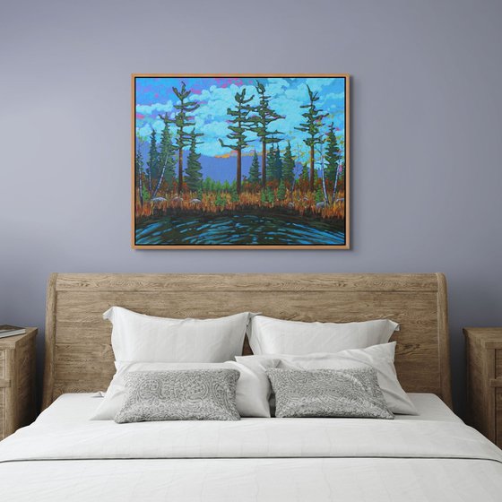 A Day in the Wilderness