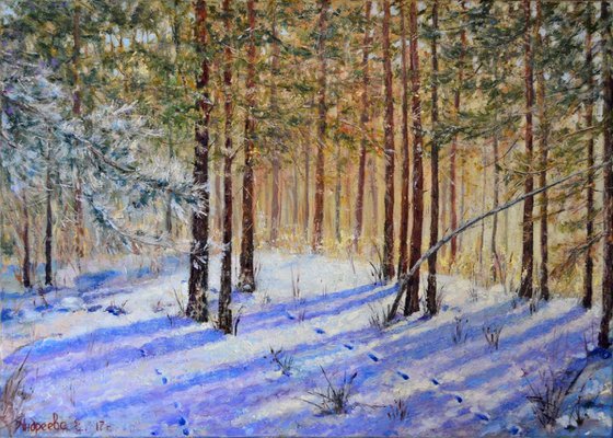 Winter forest