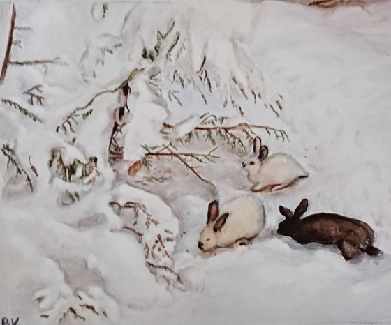 Rabbits in the snow