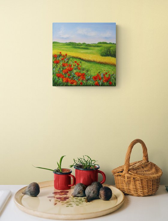 Red poppies field