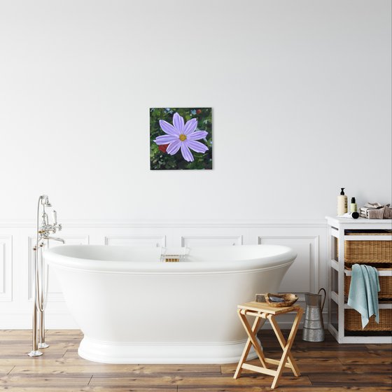Purple Cosmos Flower