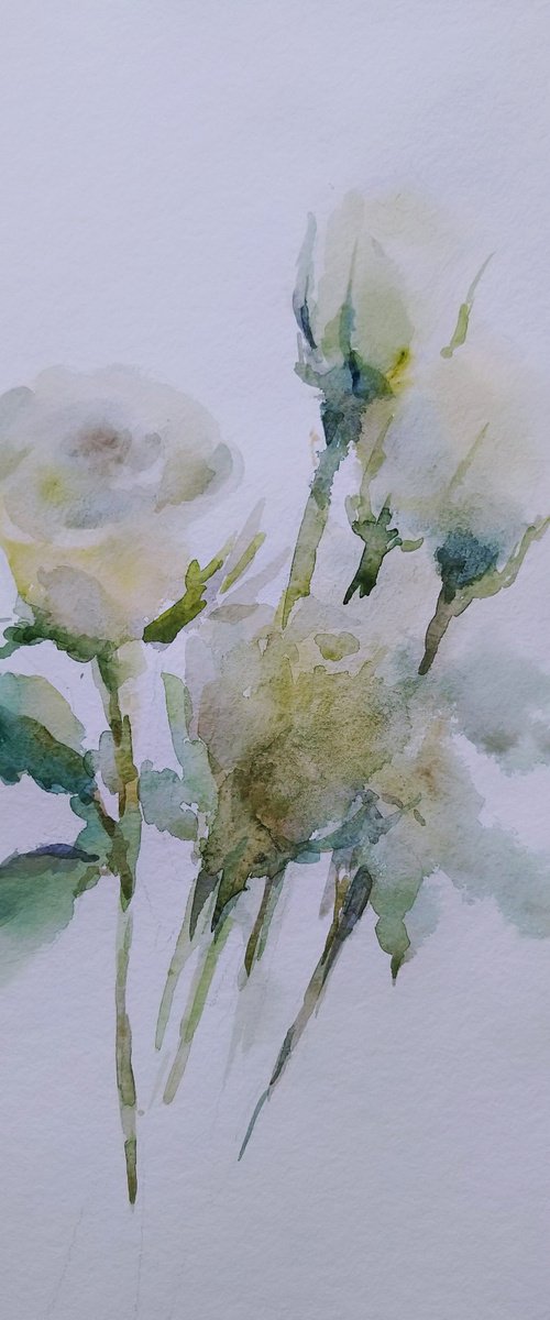 Roses. Original watercolour painting. by Elena Klyan