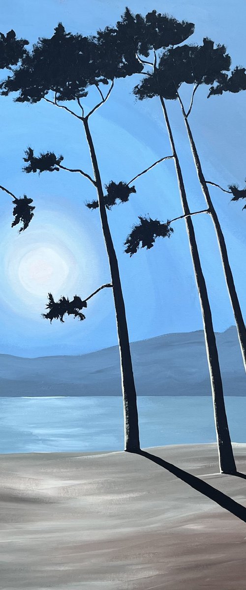 Full moon by Cadiou Frederic