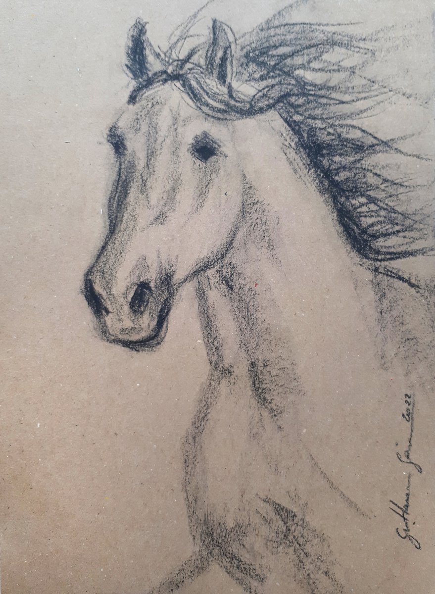 Animal Charcoal Drawing By Salana Art / Svetlana Samovarova, 8 X 11", Horse 3, Original Artwork