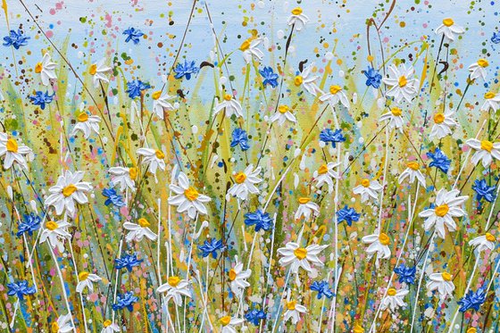 Daisies and Cornflowers II