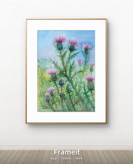 Scottish Thistle bush