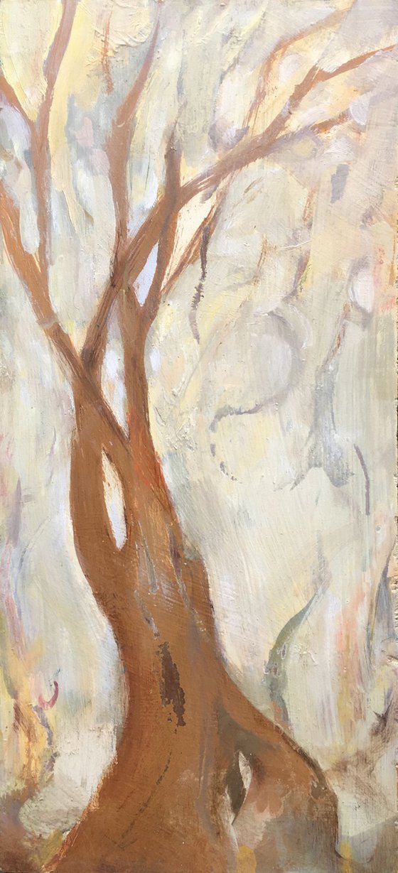 Enveloping Space