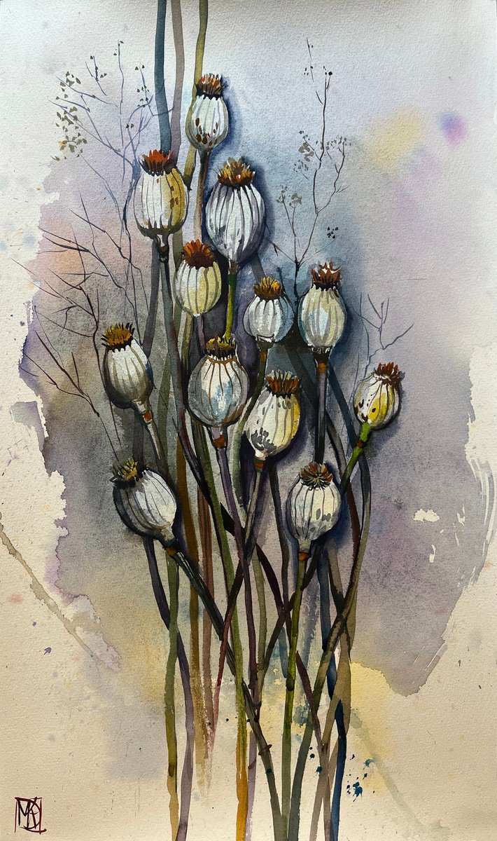 Impressionistic Botanical Watercolour By Maria Kireev, 15 X 24", Dry Poppies, Original Artwork