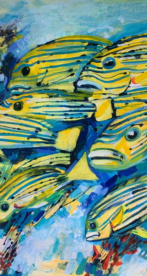Caribbean fish by Olga Pascari