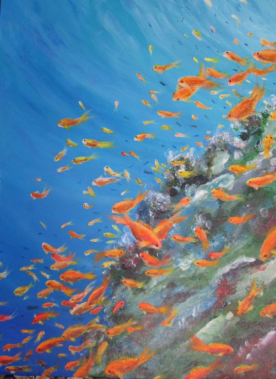 Fishes at a Sea Reef