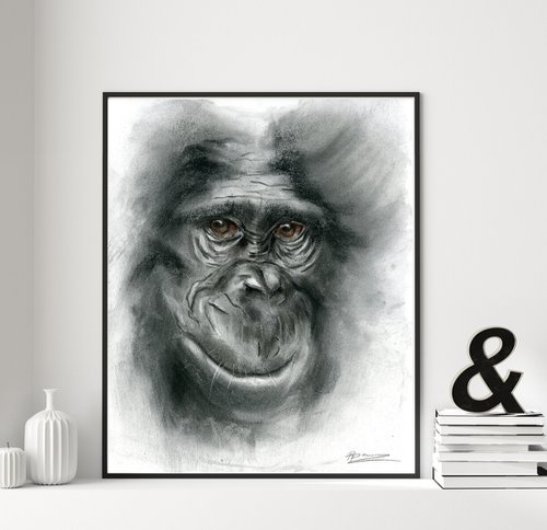 Monkey portrait (1) - Charcoal drawing by Olga Shefranov (Tchefranov)