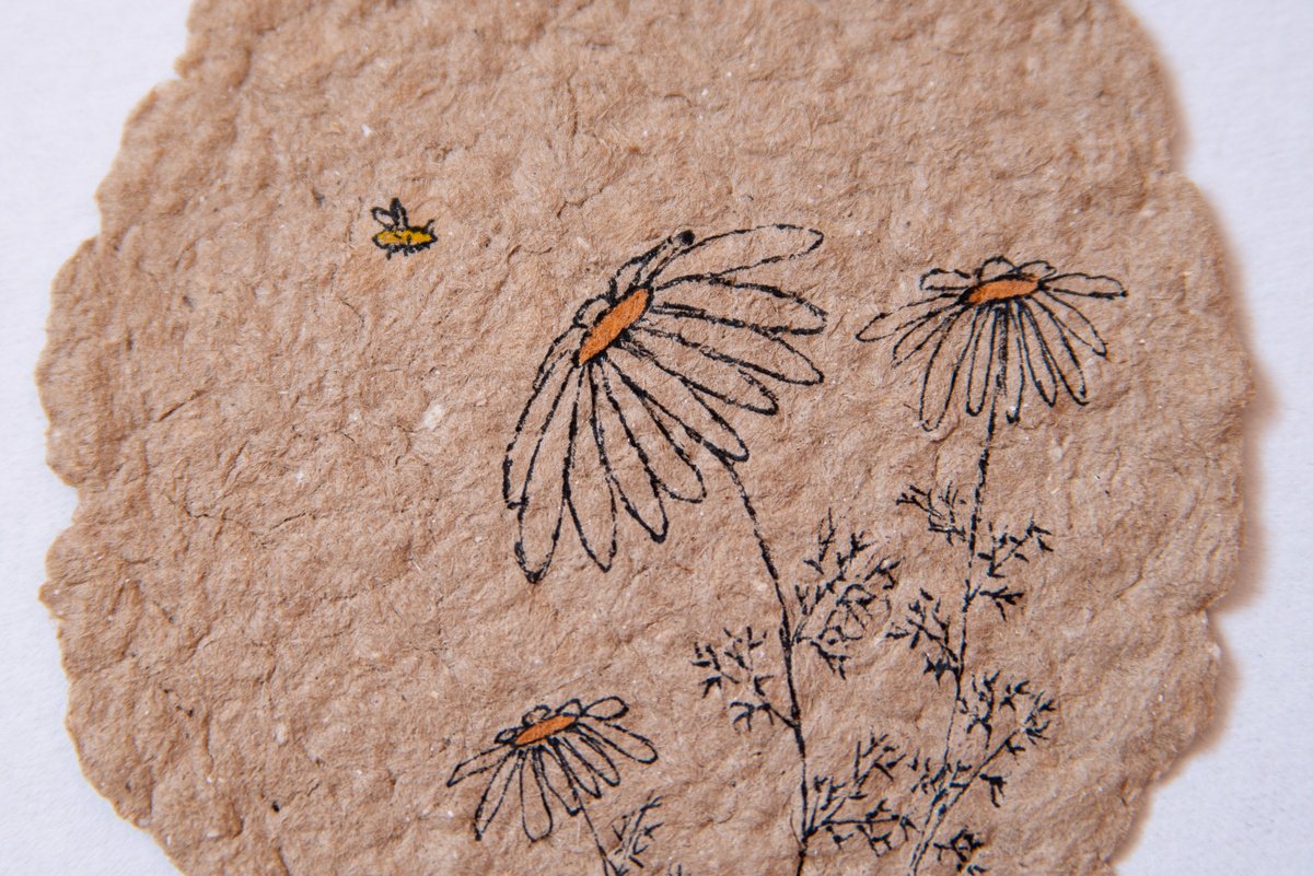 Camomiles on craft paper by Rimma Savina
