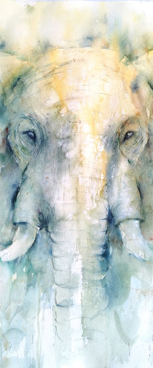 Elephant by Sveta Hubmann