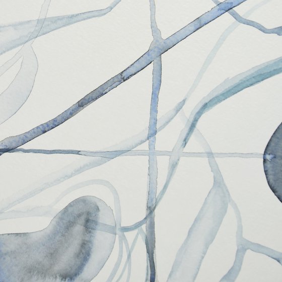 AQUATIC VEIL I (St James’s Park series)