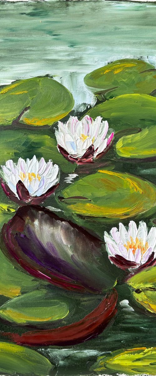 Serenity of Water Lilies by Dmitry Fedorov