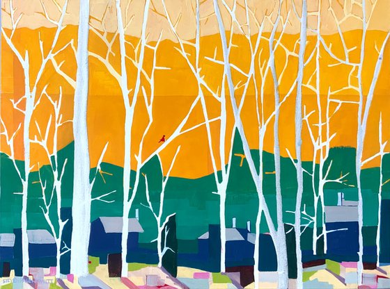 Mr Cardinal Singing His Early Morning Song