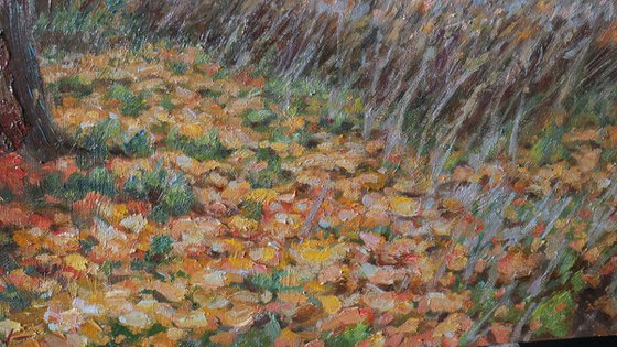Among Autumn