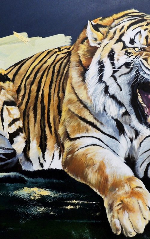 Tiger by Kakajan Charyyev