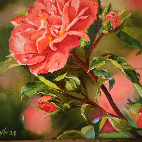 Rose Painting Floral Botanical