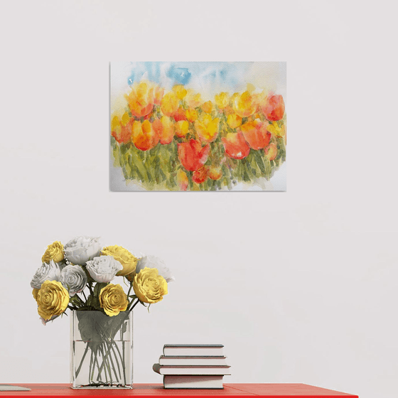 Yellow Tulip Field