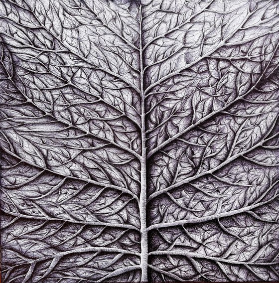 THE LIFE OF A LEAF