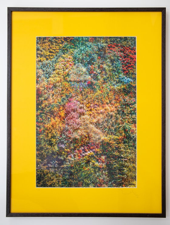 Wall of Nature I (Framed)