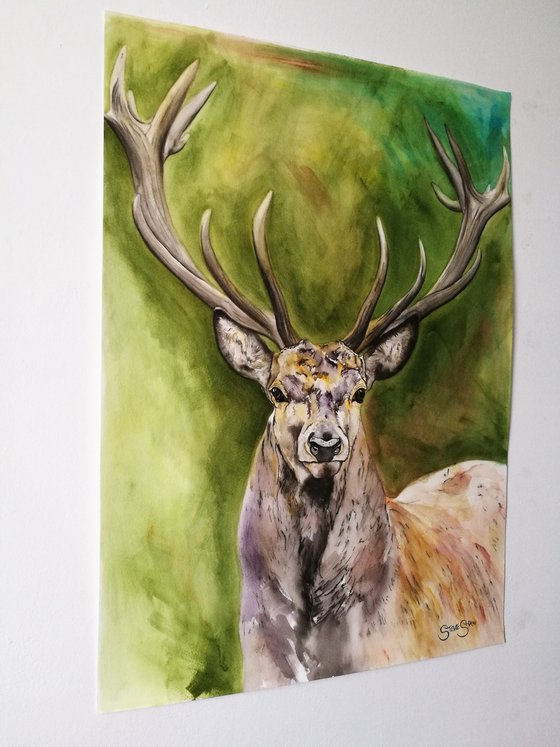 Dignified Being. Watercolour Stag Painting on Paper. 42cm x 59.4cm. Free Shipping