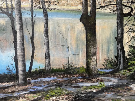 Lakeside Harmony - Landscape