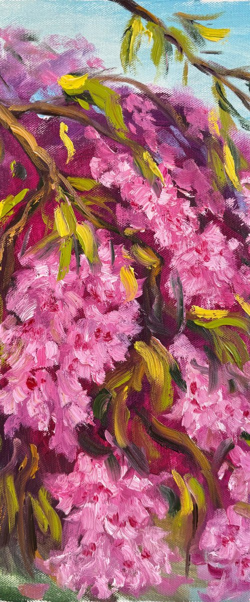 Under the Sakura Canopy by Dmitry Fedorov