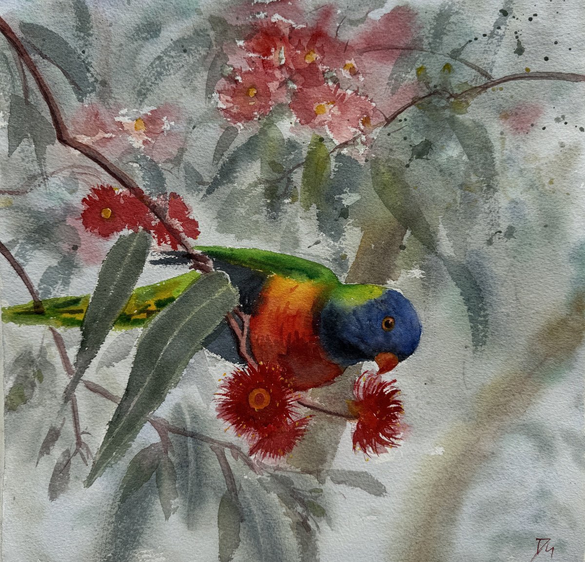Impressionistic Animal Watercolour By Shelly Du, 12 X 12", Rainbow Lorikeet And Gum Tree, Original Artwork