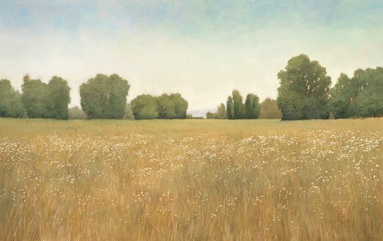 Summer Fields 251019