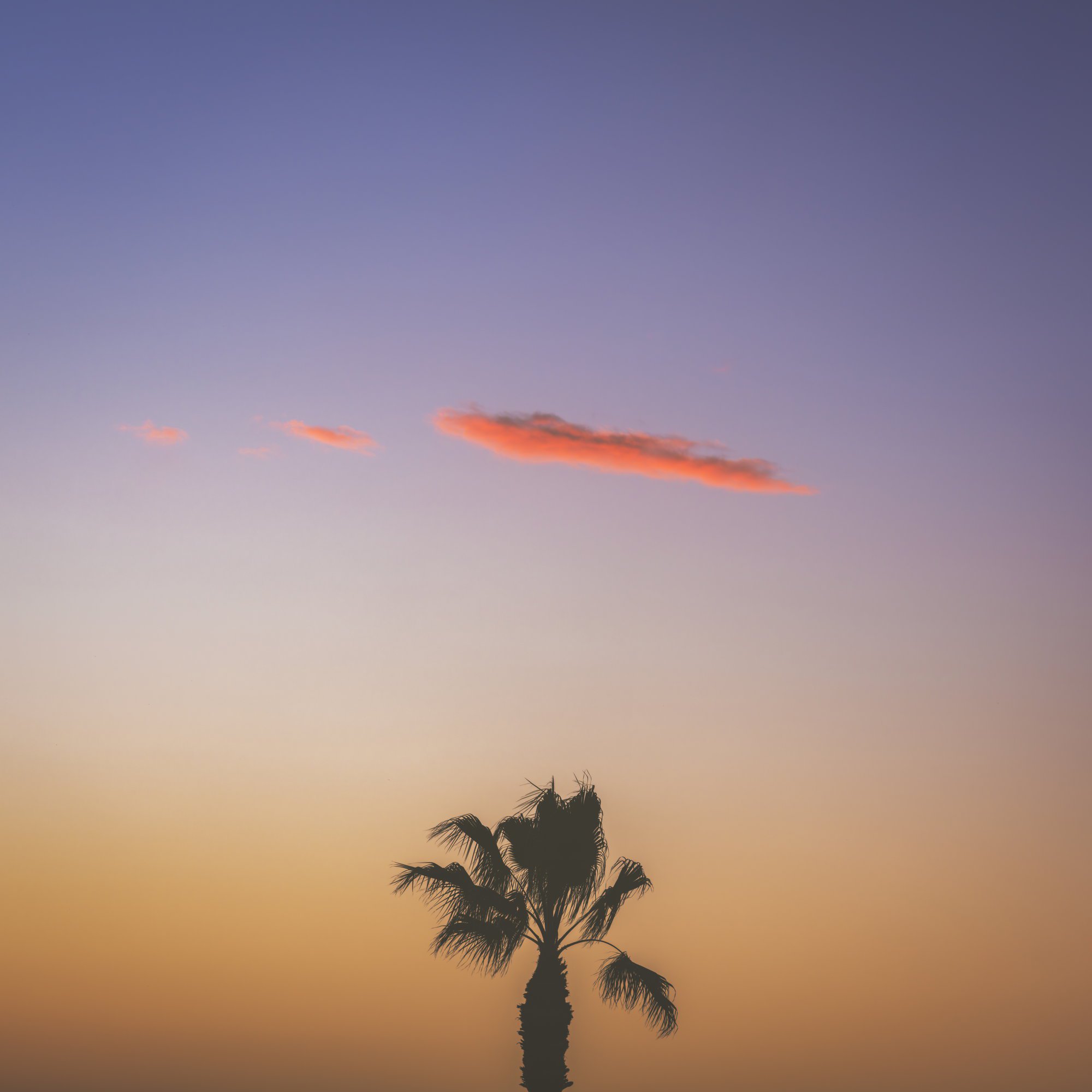 Landscape Photograph By Jens Ochlich, 11 X 17, Pacific Light, Original Artwork