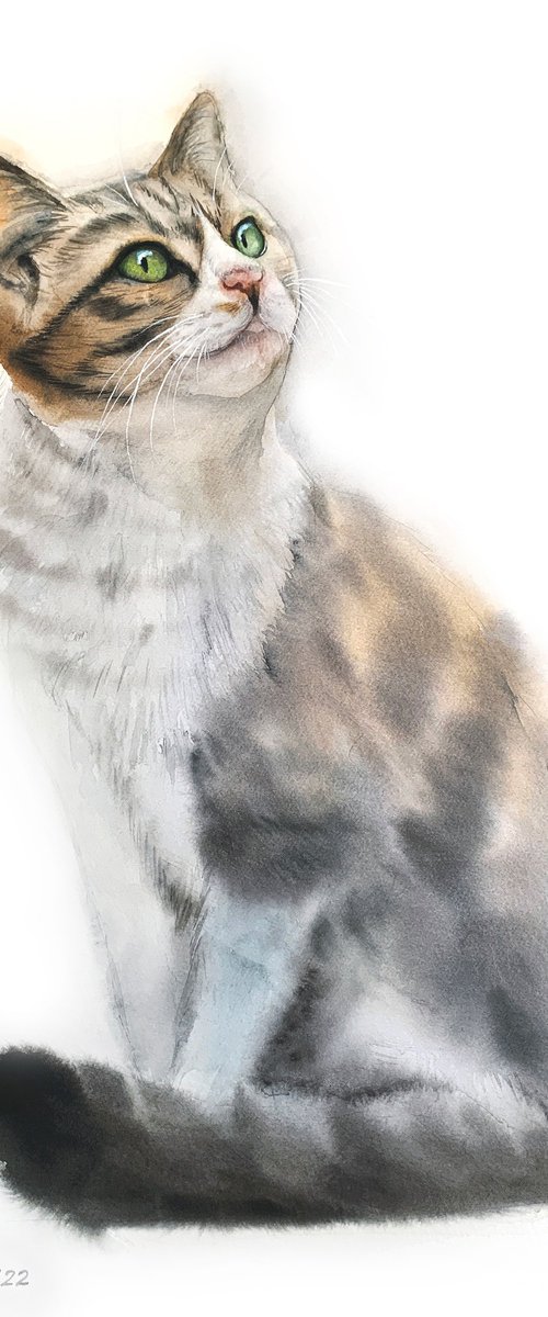 Cat portrait by Tetiana Koda