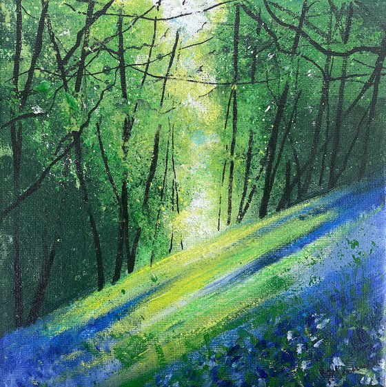 Seasons - Spring Light across Bluebell bank