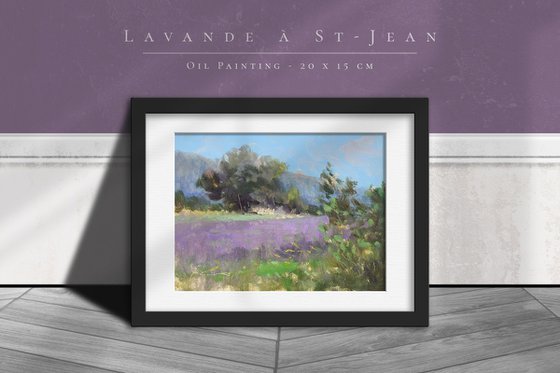 Lavender at St-Jean