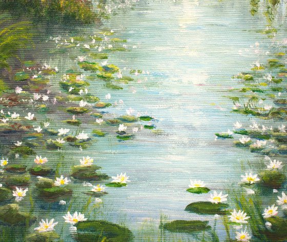 Water lily pond