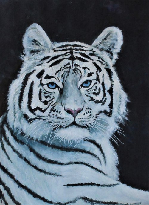 White Tiger 1 by Max Aitken