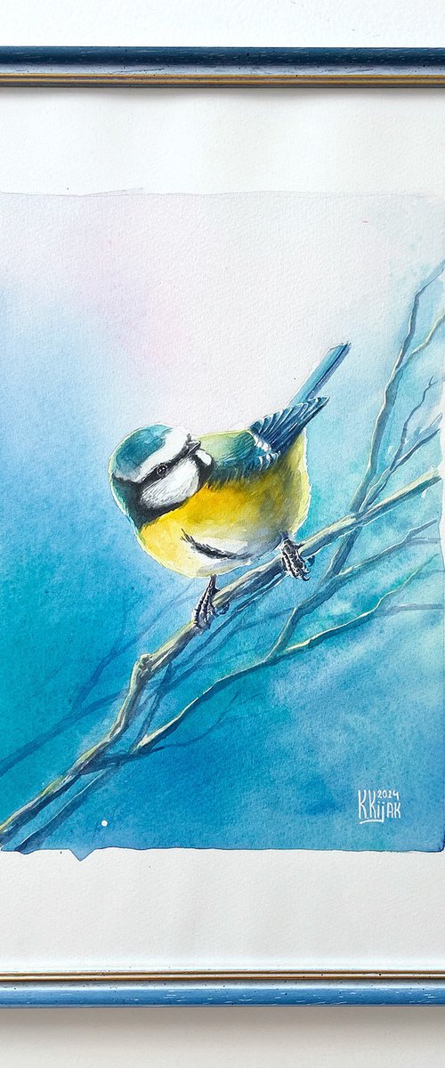 Blue chickadee by Karolina Kijak