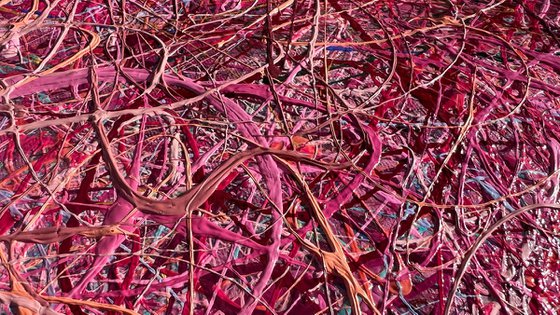 A Better Place of Dreams