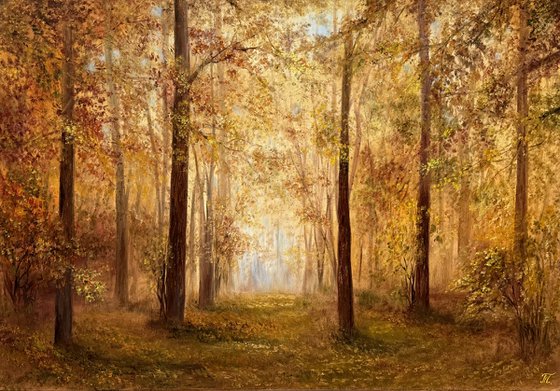 Forest Inspiration
