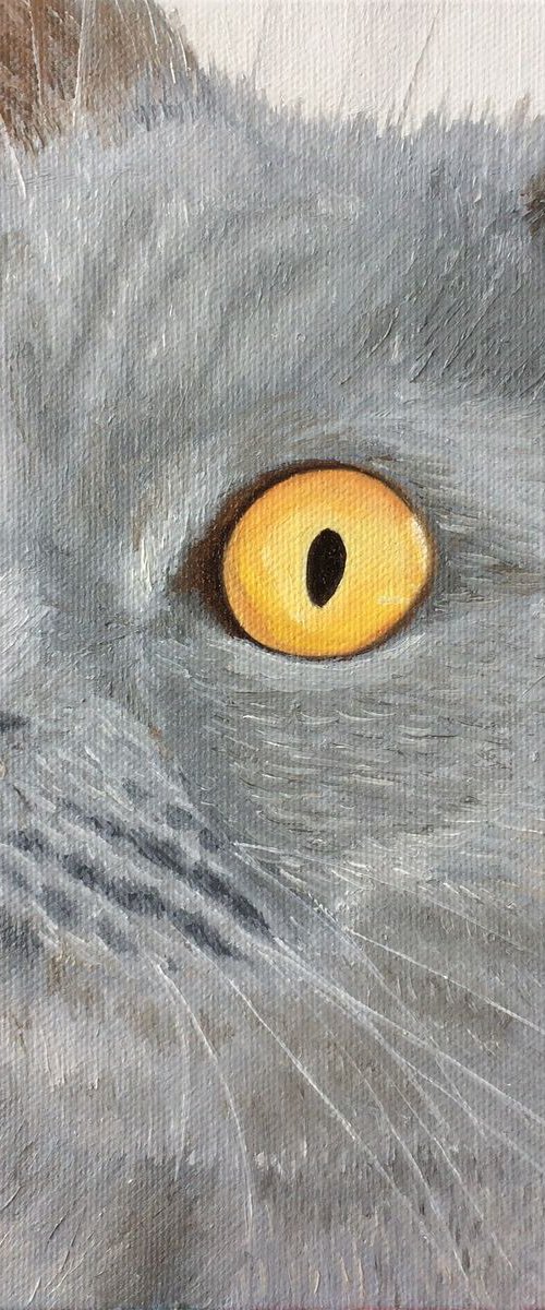 Grey Cat by Jill Ann Harper