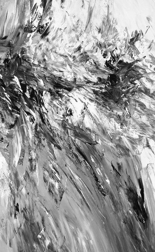 Abstraction Black And White XL 3 by Peter Nottrott