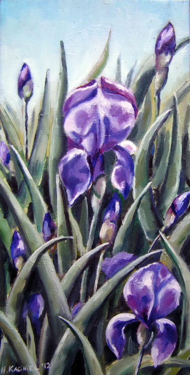 Irises by Hanna Kaciniel