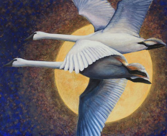 Swans in the Moonlight