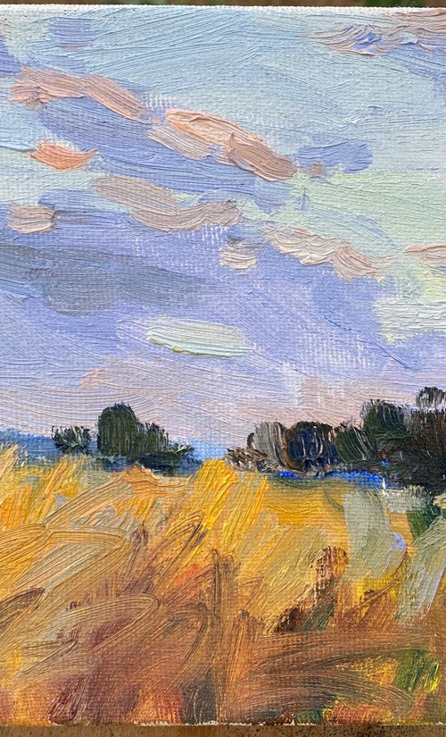 Sunset field by Nataliia Nosyk