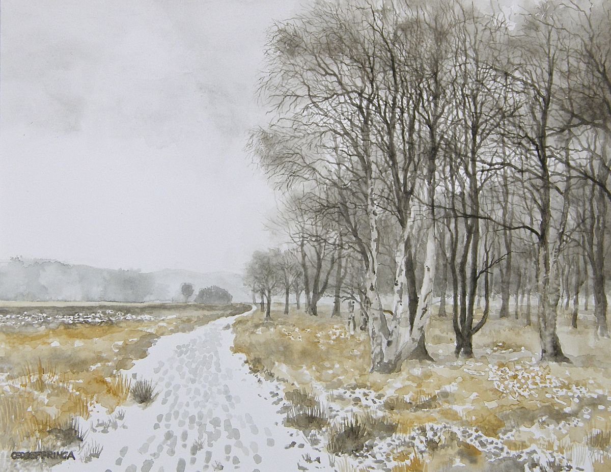 Winter on the Moors by Oeds Offringa