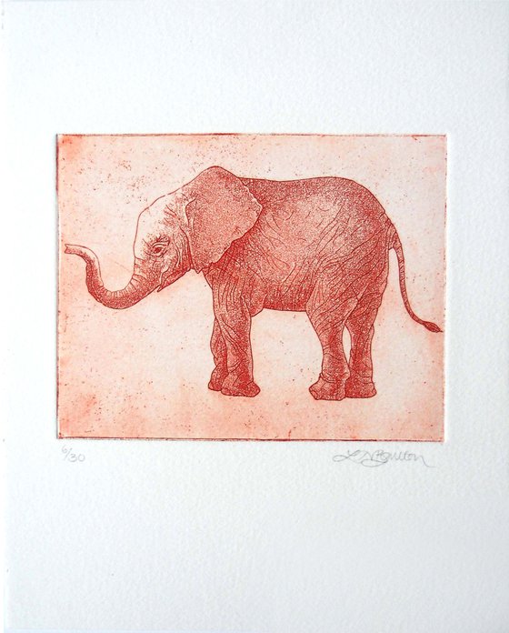 Elephant