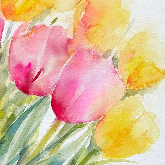 Morning Radiance_ Tulips